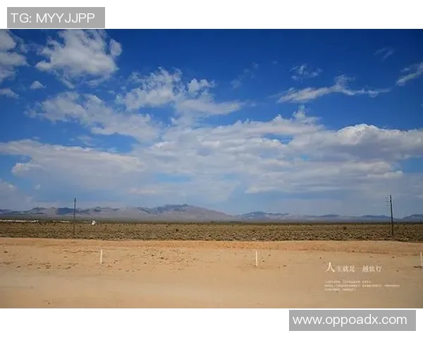 邢台足球球星崛起之路：从草根到职业的拼搏与荣耀